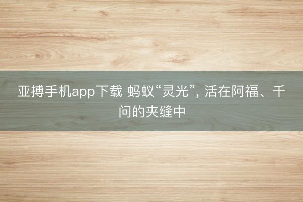 亚搏手机app下载 蚂蚁“灵光”， 活在阿福、千问的夹缝中