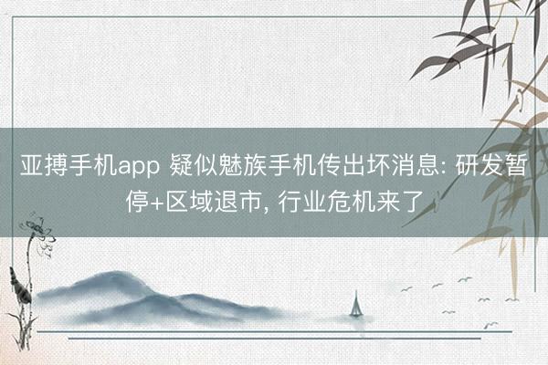 亚搏手机app 疑似魅族手机传出坏消息: 研发暂停+区域退市， 行业危机来了