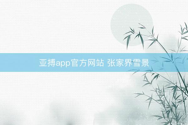 亚搏app官方网站 张家界雪景