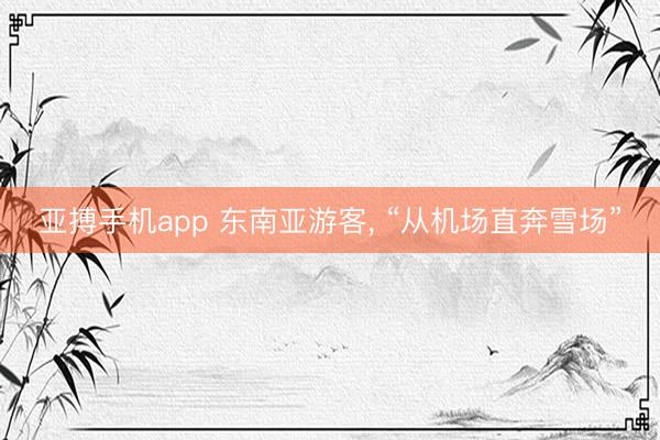 亚搏手机app 东南亚游客， “从机场直奔雪场”