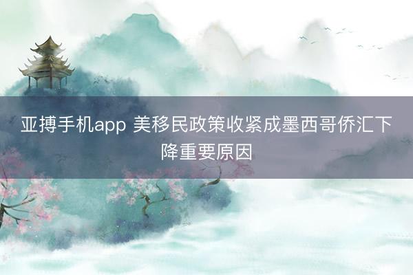 亚搏手机app 美移民政策收紧成墨西哥侨汇下降重要原因