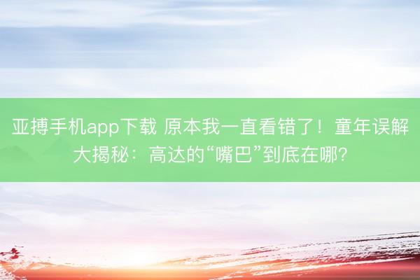 亚搏手机app下载 原本我一直看错了！童年误解大揭秘：高达的“嘴巴”到底在哪？