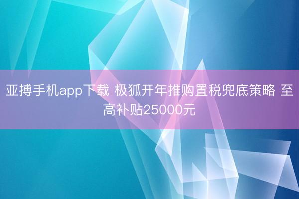 亚搏手机app下载 极狐开年推购置税兜底策略 至高补贴25000元