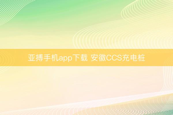 亚搏手机app下载 安徽CCS充电桩