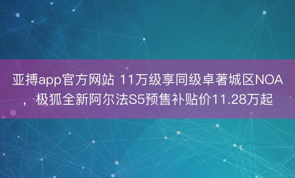 亚搏app官方网站 11万级享同级卓著城区NOA，极狐全新阿尔法S5预售补贴价11.28万起