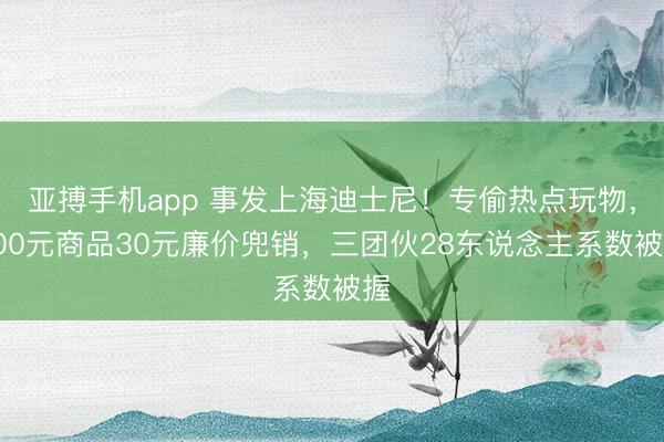 亚搏手机app 事发上海迪士尼！专偷热点玩物，300元商品30元廉价兜销，三团伙28东说念主系数被握