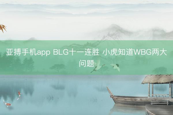 亚搏手机app BLG十一连胜 小虎知道WBG两大问题