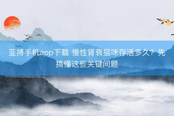 亚搏手机app下载 慢性肾衰猫咪存活多久？先搞懂这些关键问题