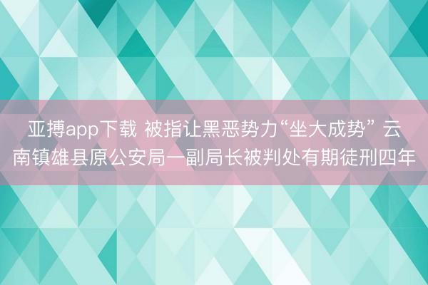 亚搏app下载 被指让黑恶势力“坐大成势” 云南镇雄县原公安局一副局长被判处有期徒刑四年