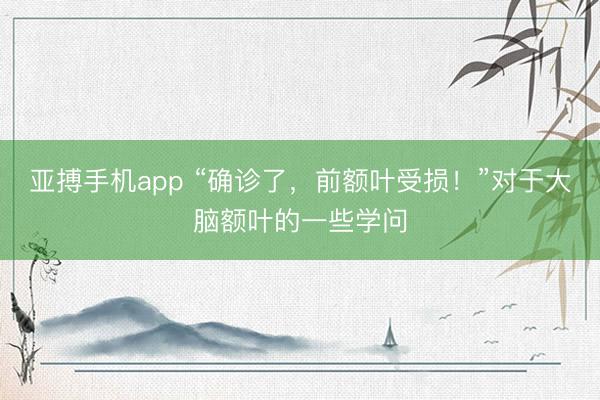亚搏手机app “确诊了，前额叶受损！”对于大脑额叶的一些学问