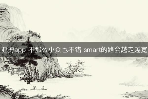 亚搏app 不那么小众也不错 smart的路会越走越宽